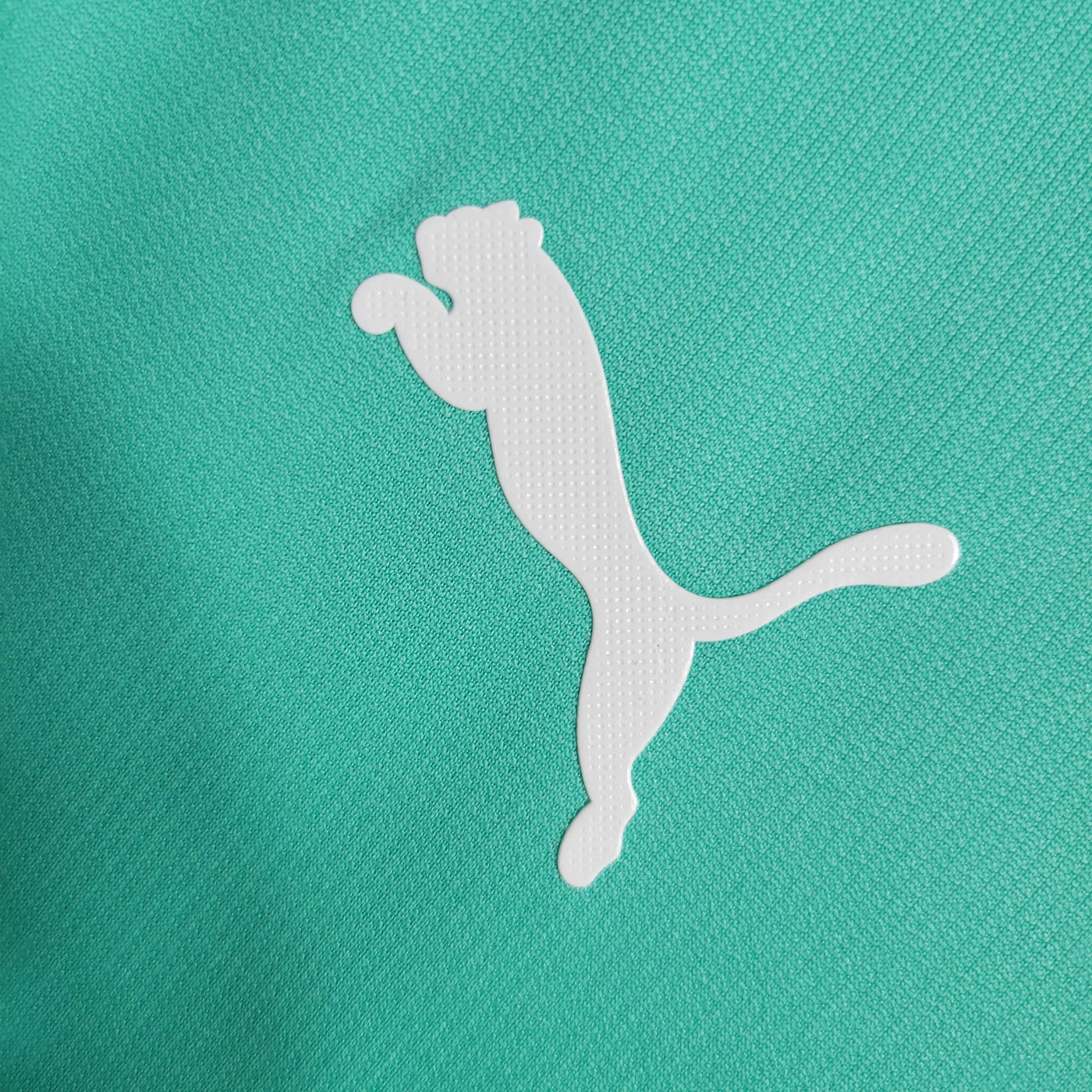 Camisa Palmeiras Retrô 19/20