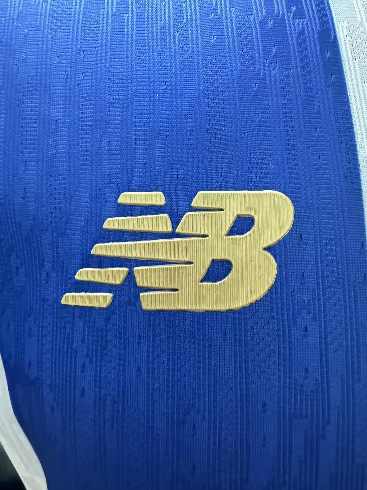 Camisa Primeira Liga Home Jogador 25/26