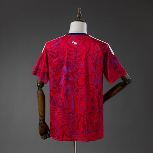 Camisa Costa Rica Home 2026
