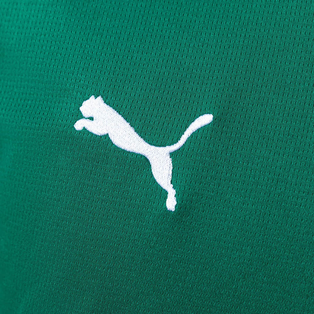 Camisa Palmeiras Home 26/27
