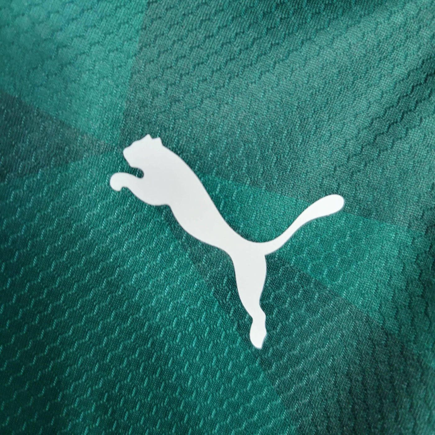 Camisa Palmeiras Home 23/24 Feminina
