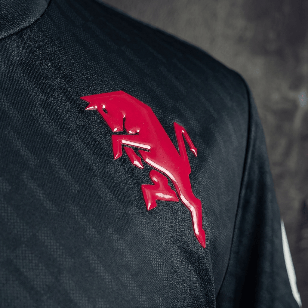 Camisa Torino Modelo Especial 25/26