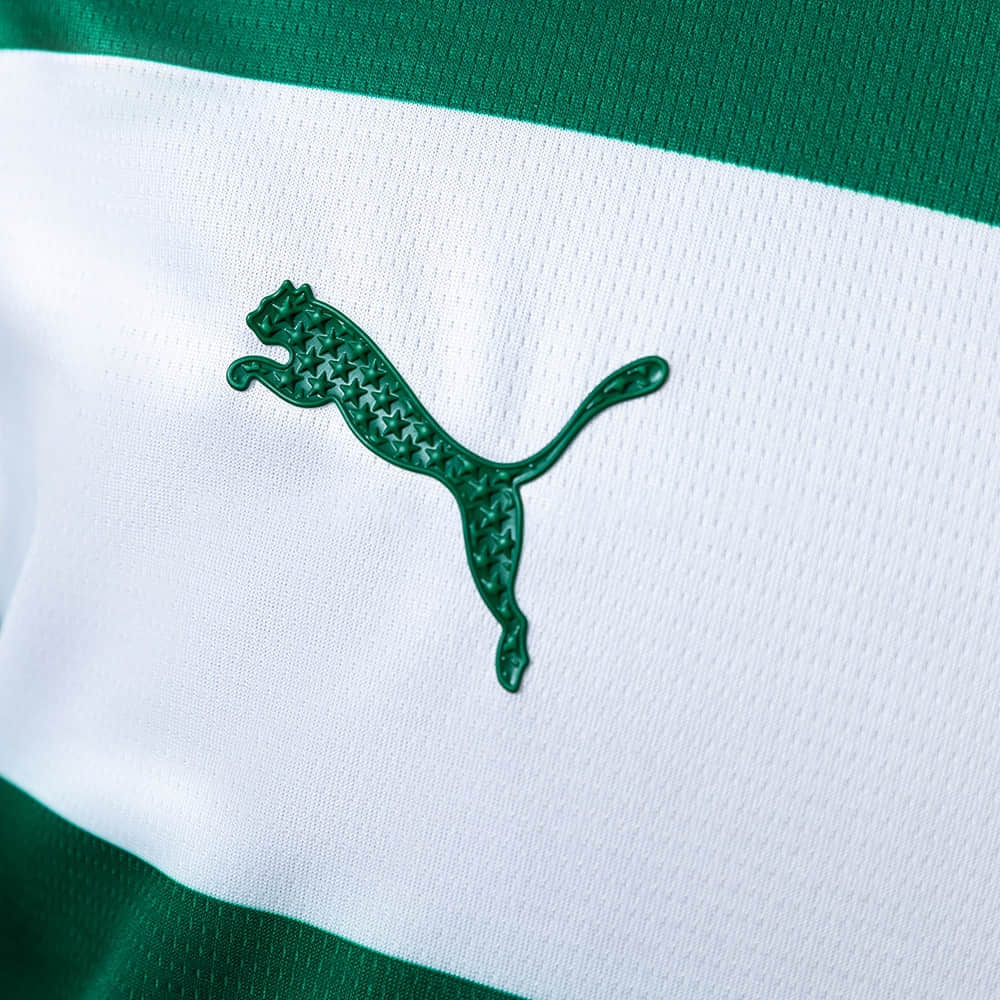 Camisa Palmeiras Modelo Especial 25/26