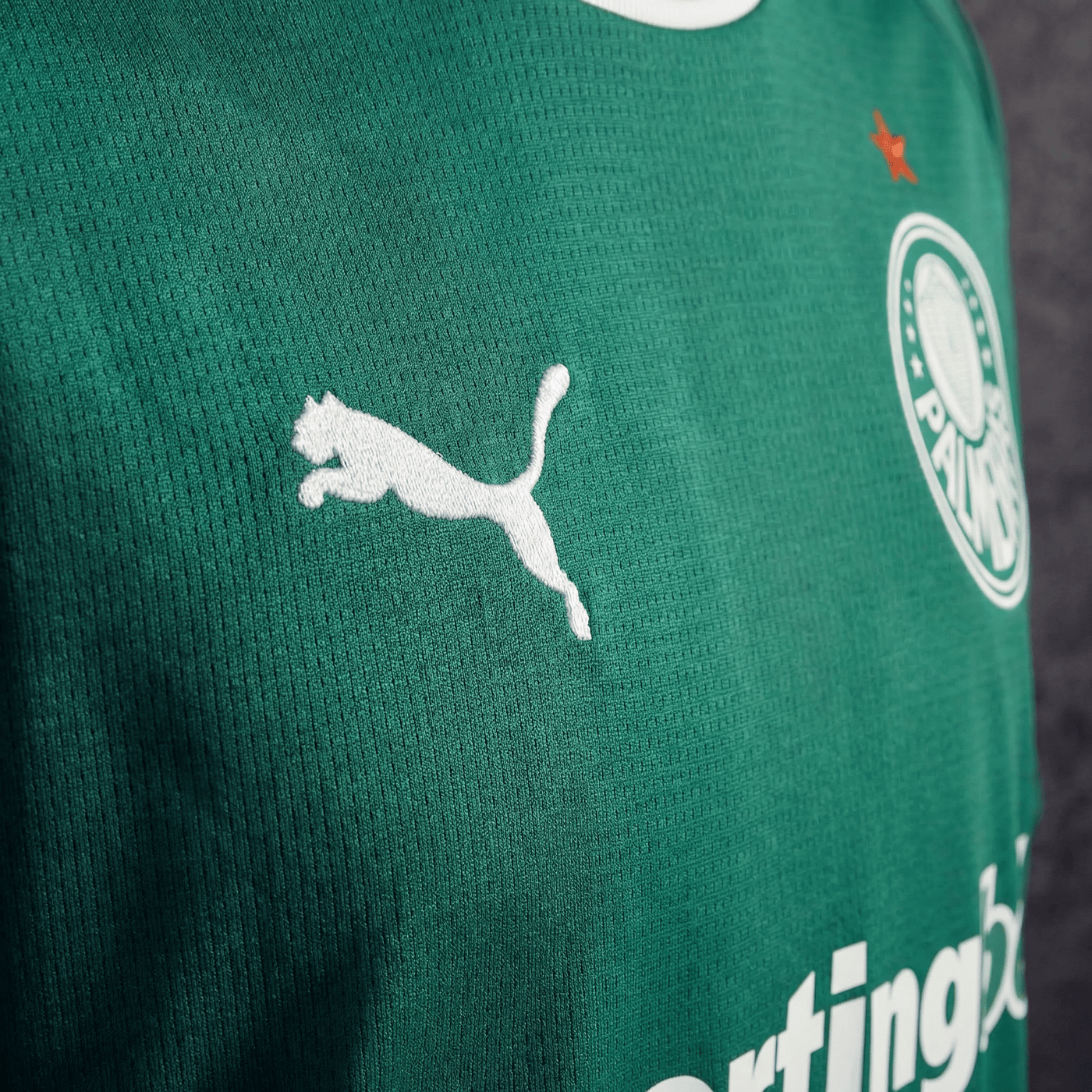 Camisa Palmeiras Home 26/27
