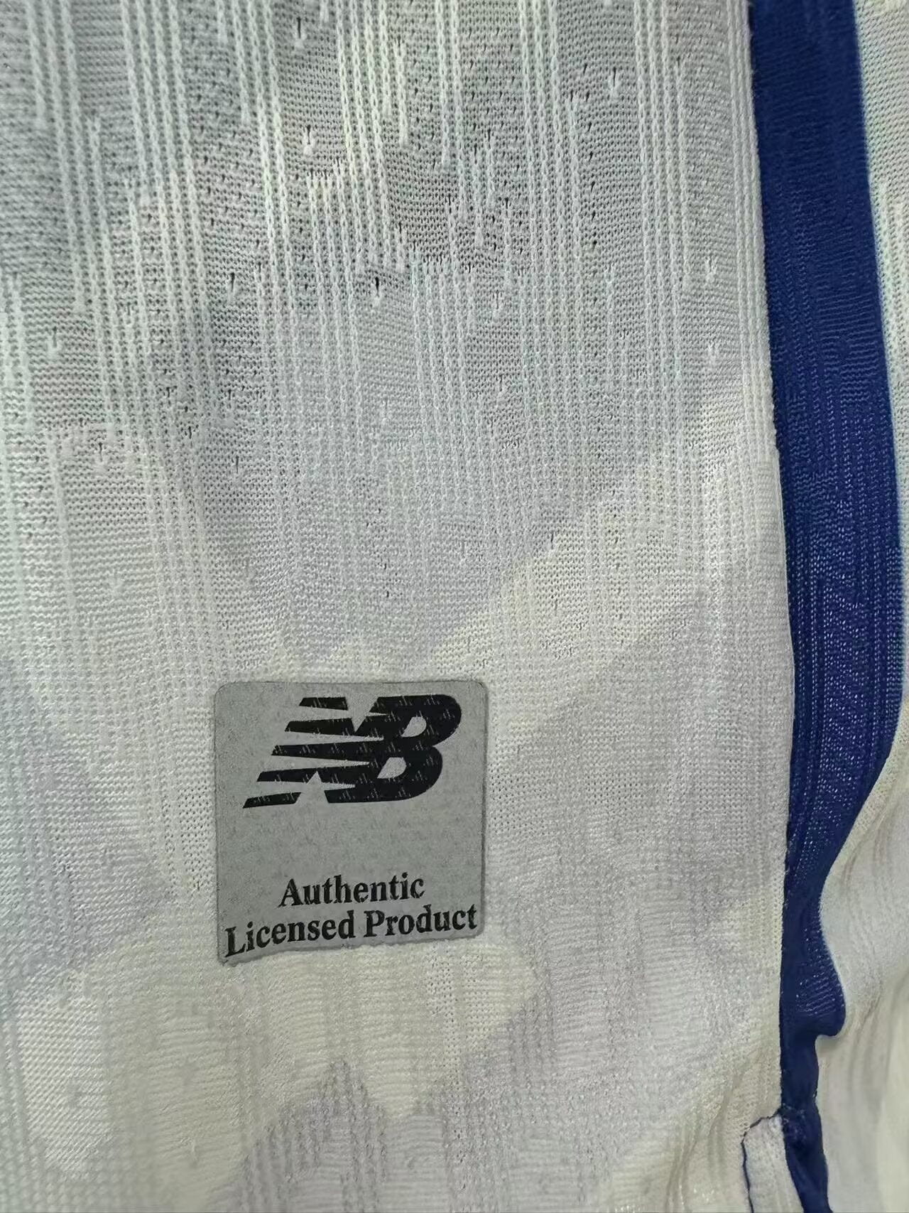 Camisa Primeira Liga Home Jogador 25/26