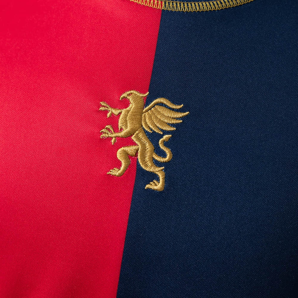 Camisa Genoa Modelo Especial 25/26