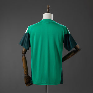 Camisa Argélia Treino Verde 2026
