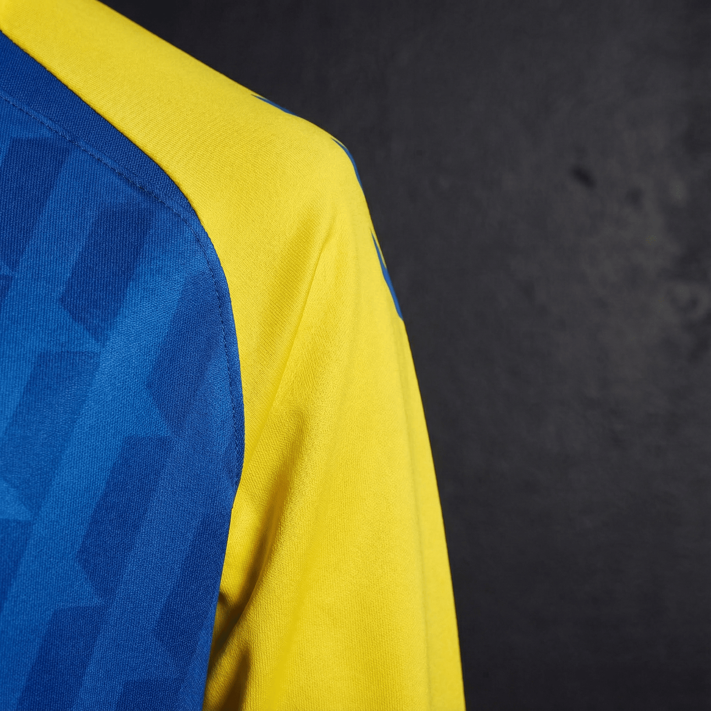 Camisa Las Palmas Treino Manga Longa 25/26
