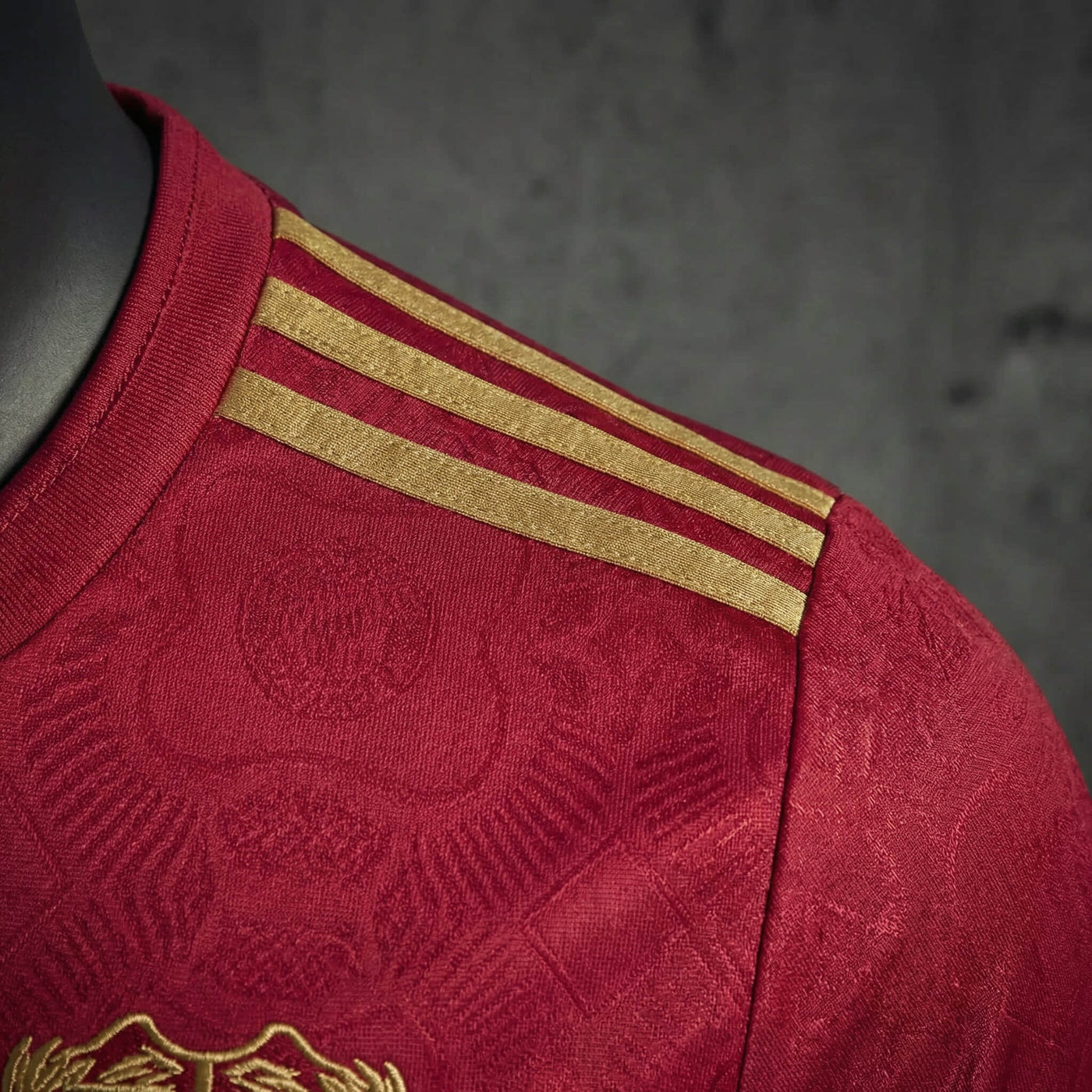 Camisa Bayern Munich Modelo Especial Manga Longa Jogador 25/26
