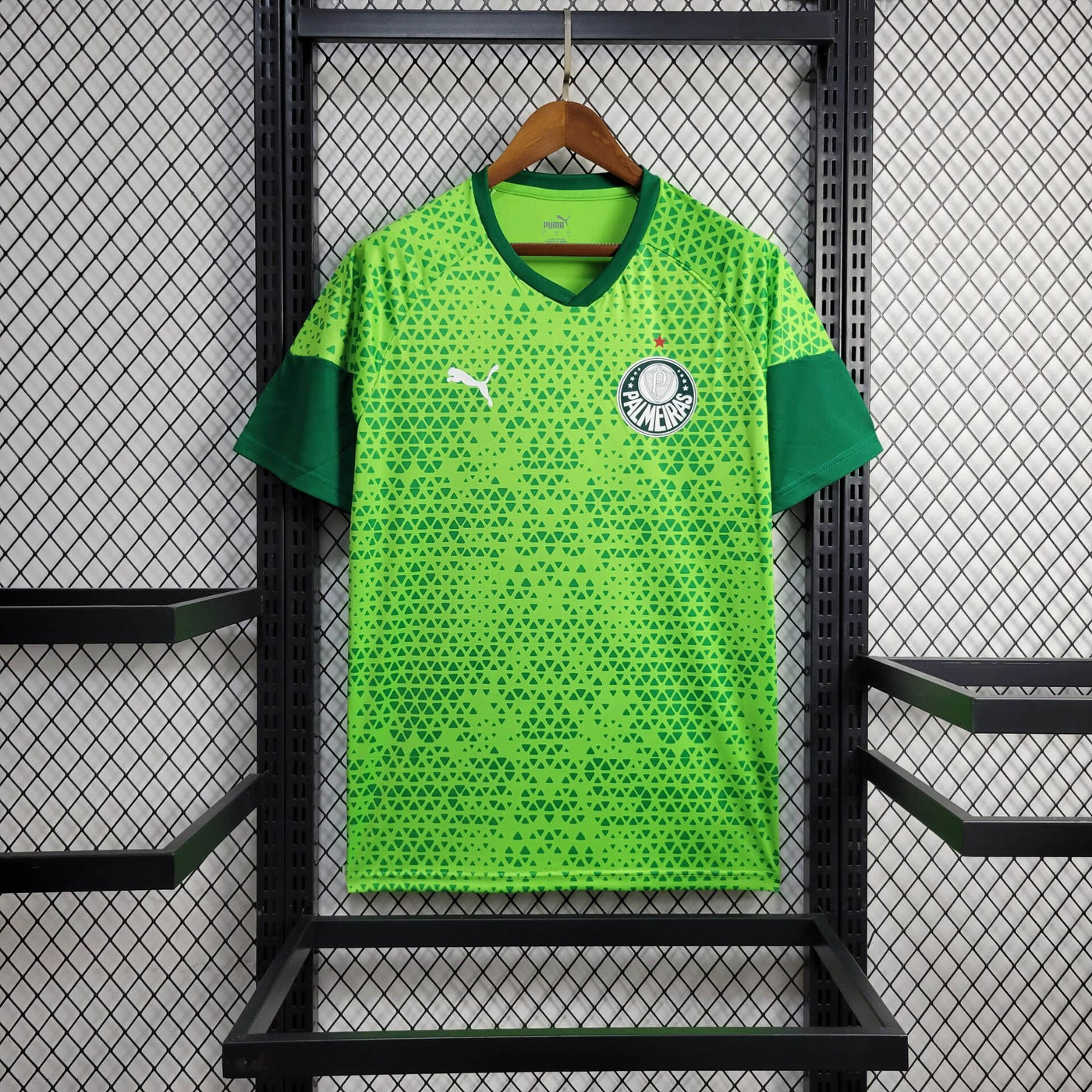 Camisa Palmeiras Treino 24/25